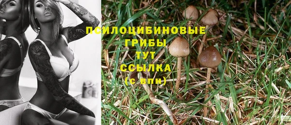 apvp Алексин