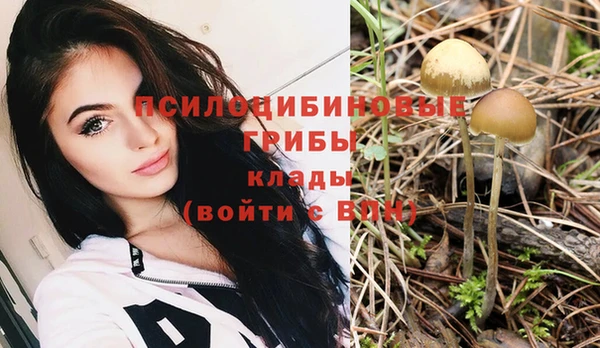 прущий лед Алексеевка